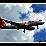 Types Of Jobs In Indian Airlines: educational qualification
